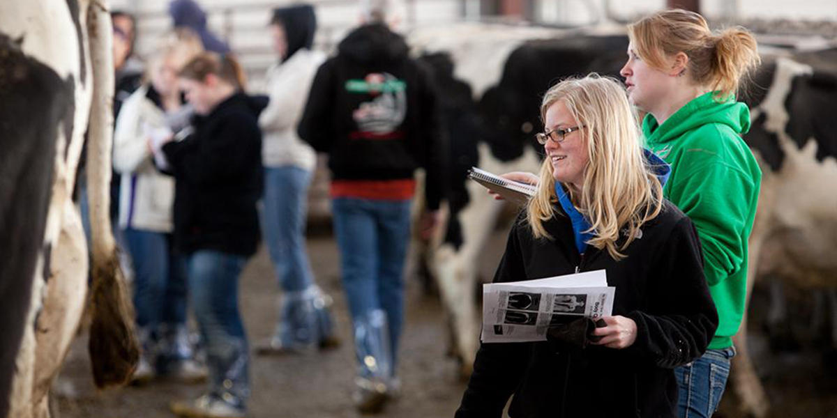 Students at a dairy farm