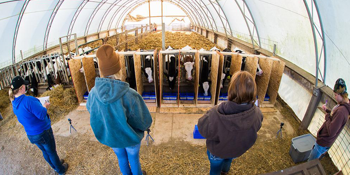 Students at Pioneer Farm