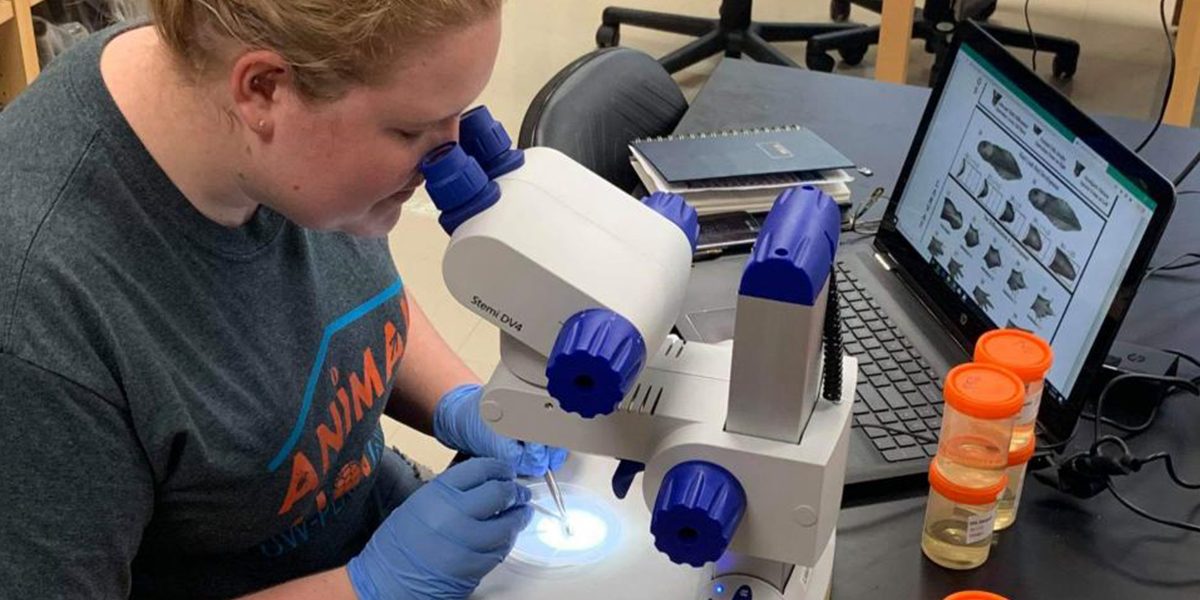 Jessica Wells researching tadpoles in the lab