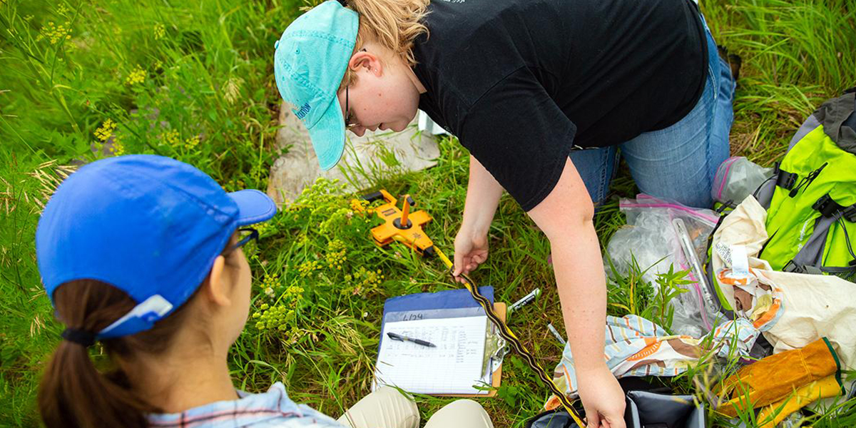 Jessica Wells monitoring snakes