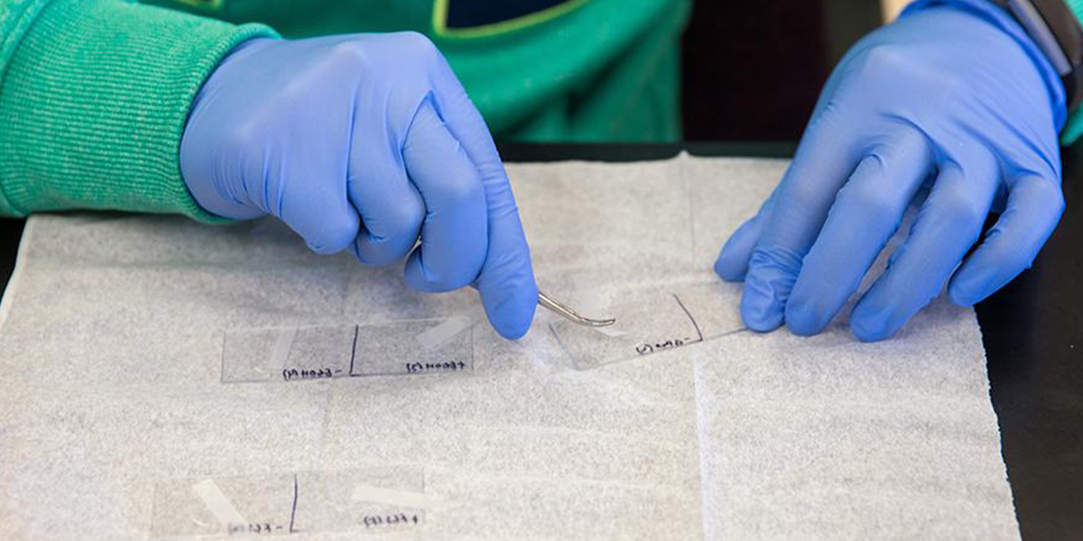 Student conducting research in lab