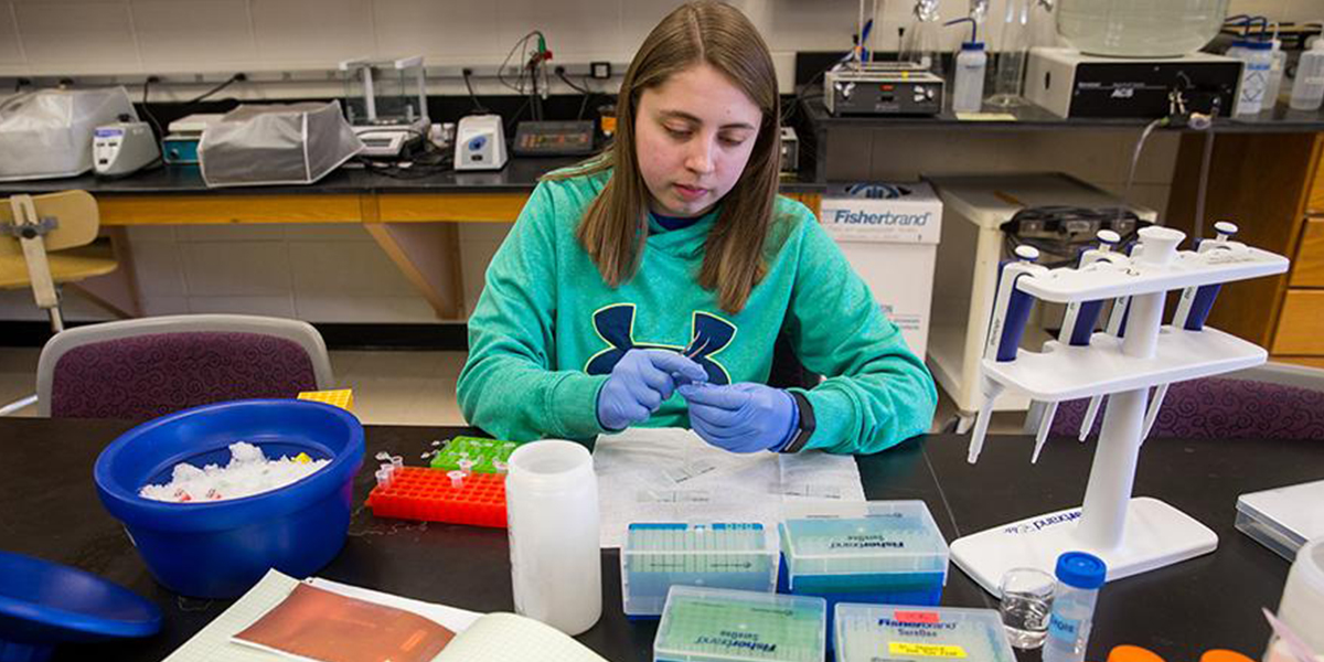 Student conducting research in lab