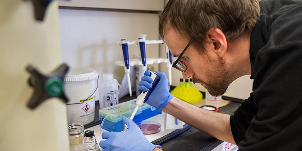 Student conducting research in lab