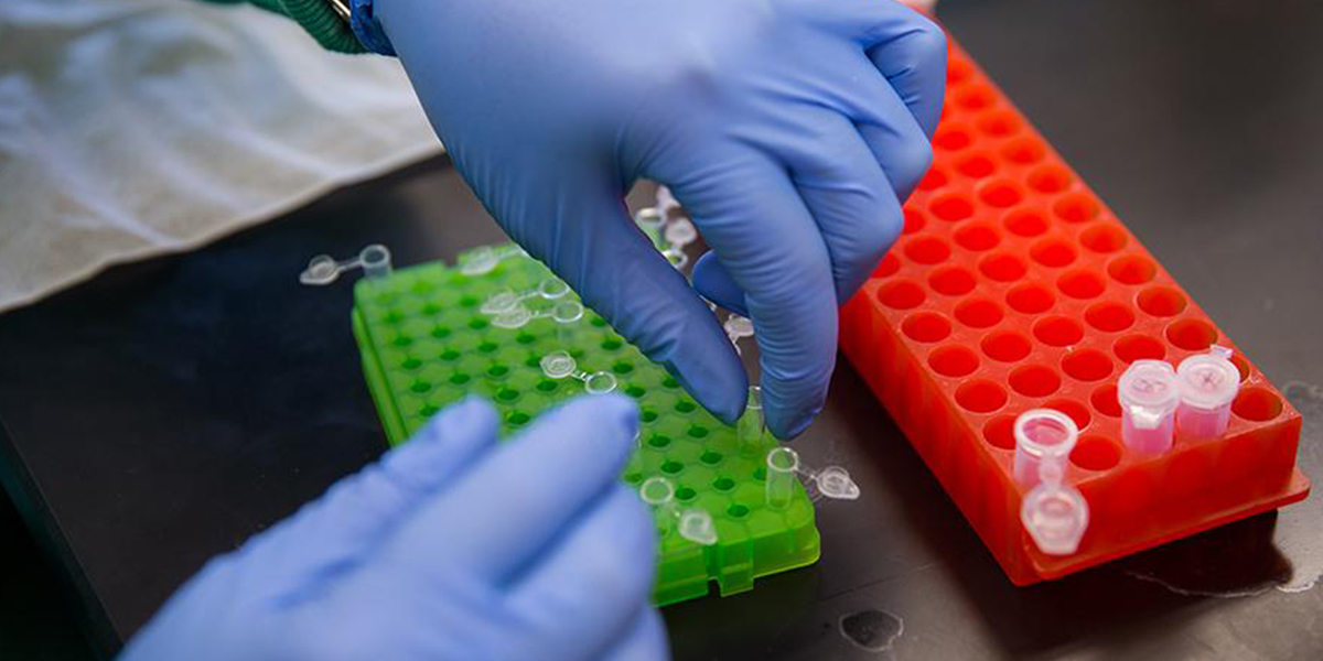 Student conducting research in lab