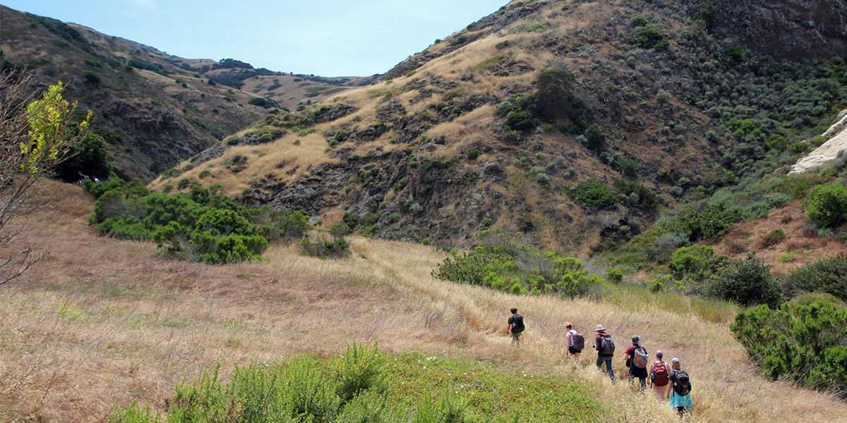 Students explore Santa Cruz Island