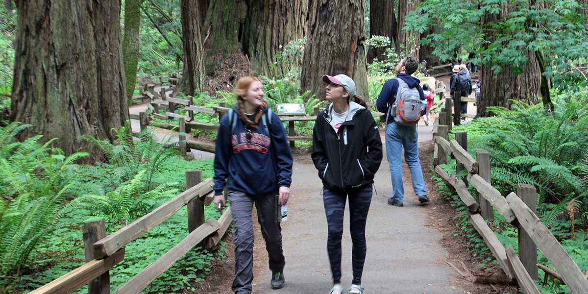 Students explore Muir Woods