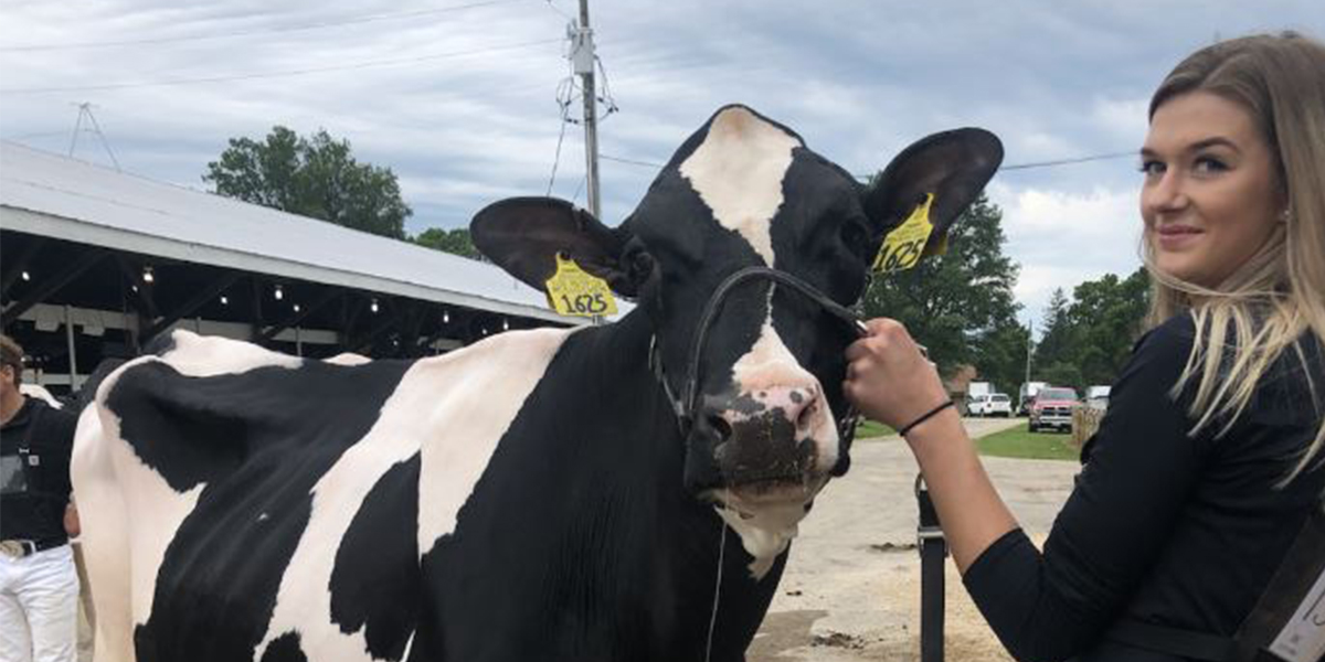 Maddy Gwidt, a sophomore dairy science major from Pulaski, Wisconsin, showed two heifers and two cows.