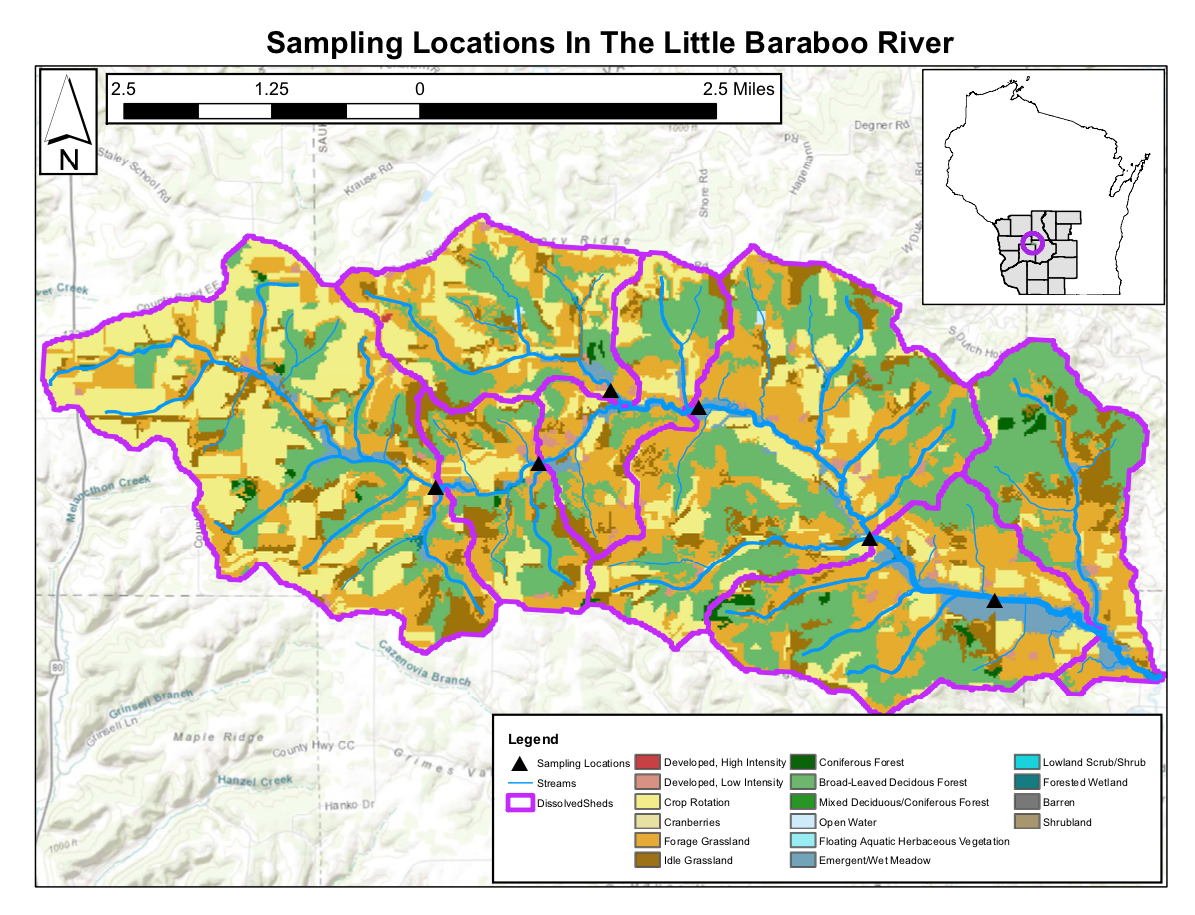 Arellano Water Study