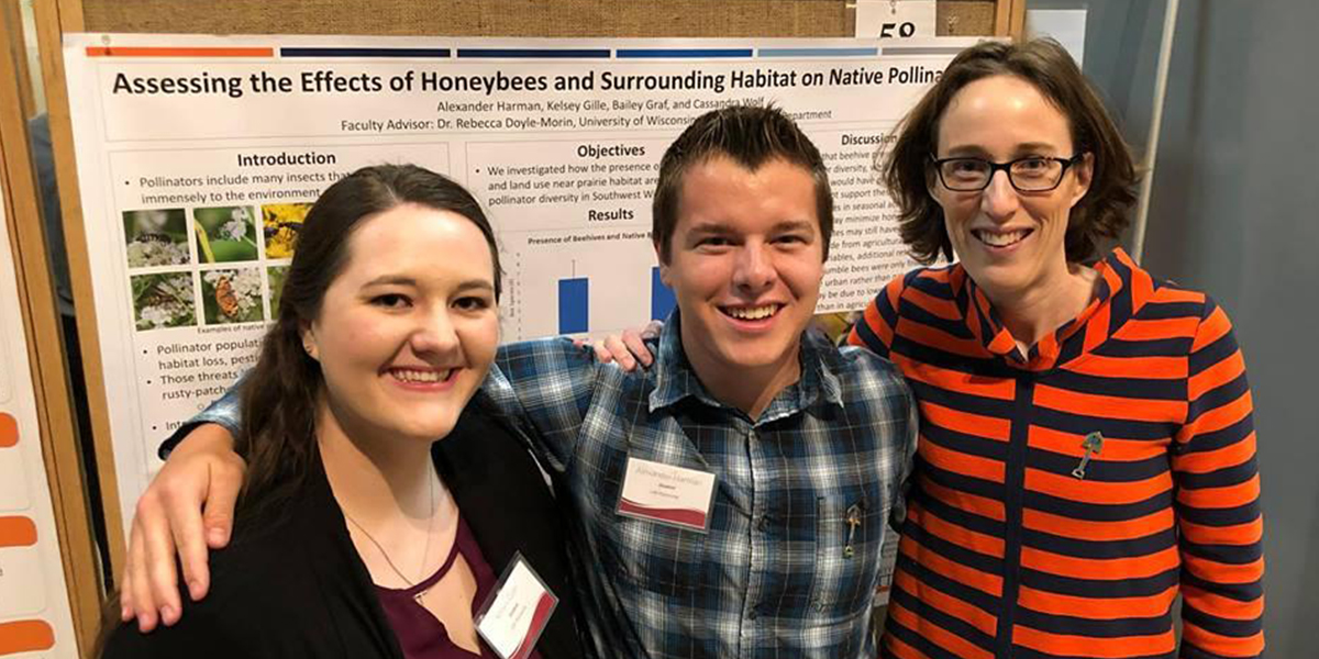 Assessing the Effects of Honeybees and Surrounding Habitat on Native Pollination at Research in the Rotunda