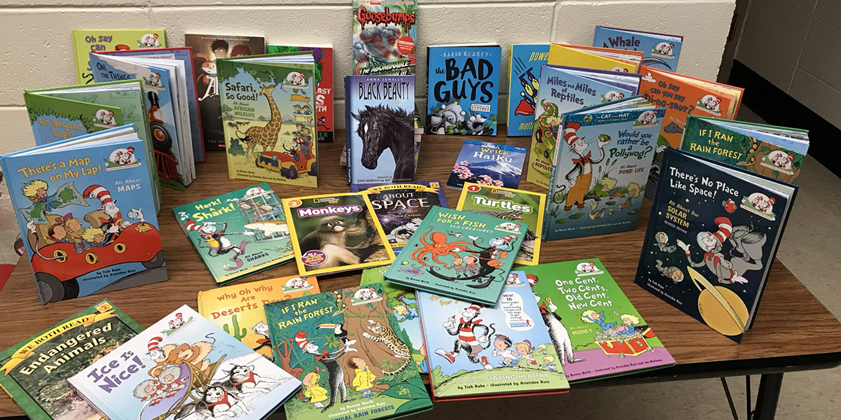 Thanks to a grant Dr. Edina Haslauer wrote, a selection of books is available for the English Language Learners to choose from.