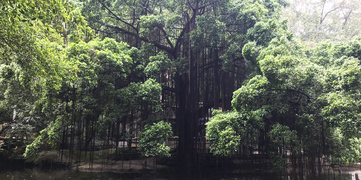 Xiqiao Mountain and Nature Park, located about 30 miles from where Schoenberg lives, is host to numerous hiking trails and outdoor activities.