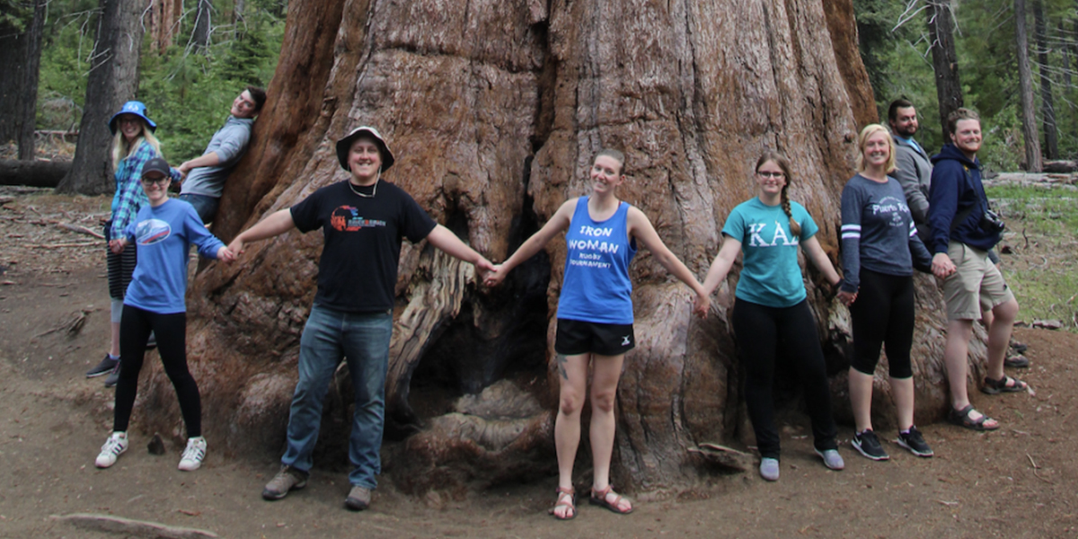 Students pose with a Mariposa Grove Sequoia tree in Yosemite National Park