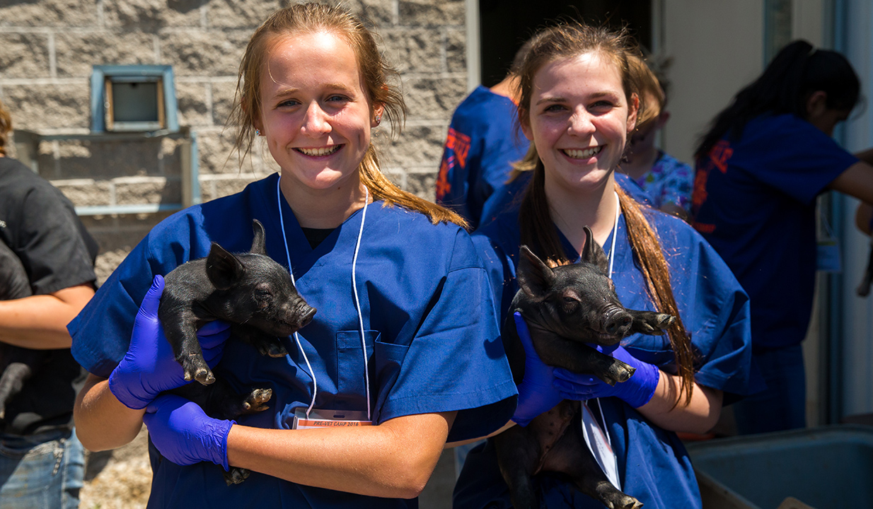 Students holding pigs