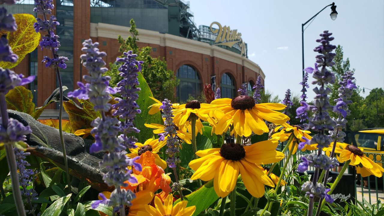 Landscaping at Miller Park