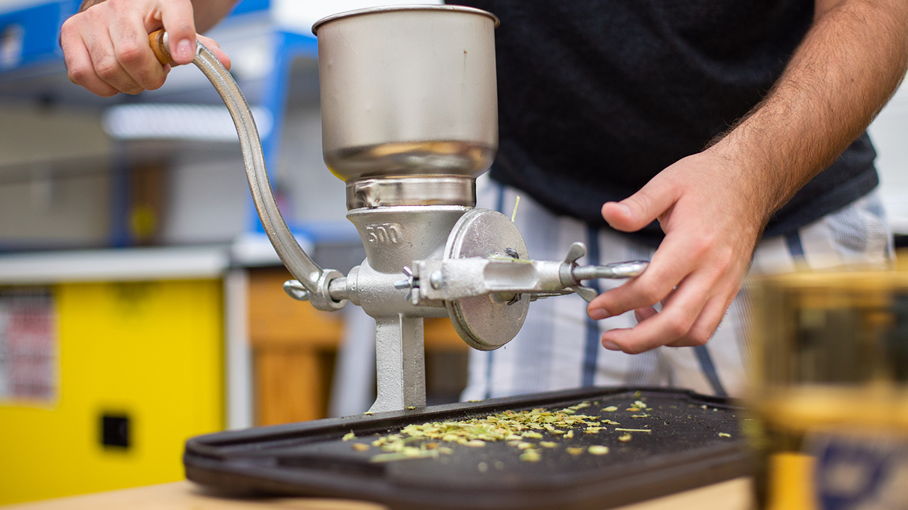 Pennycress research in lab