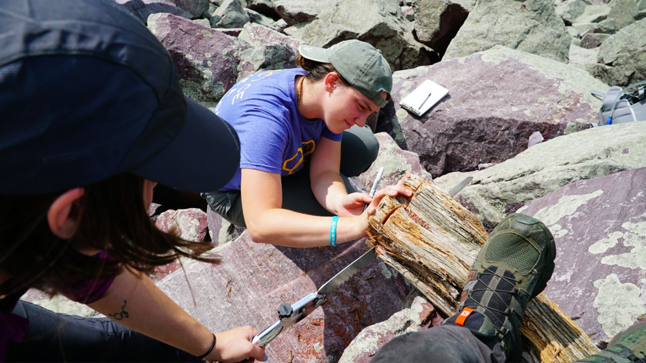 Elissa doing fieldwork