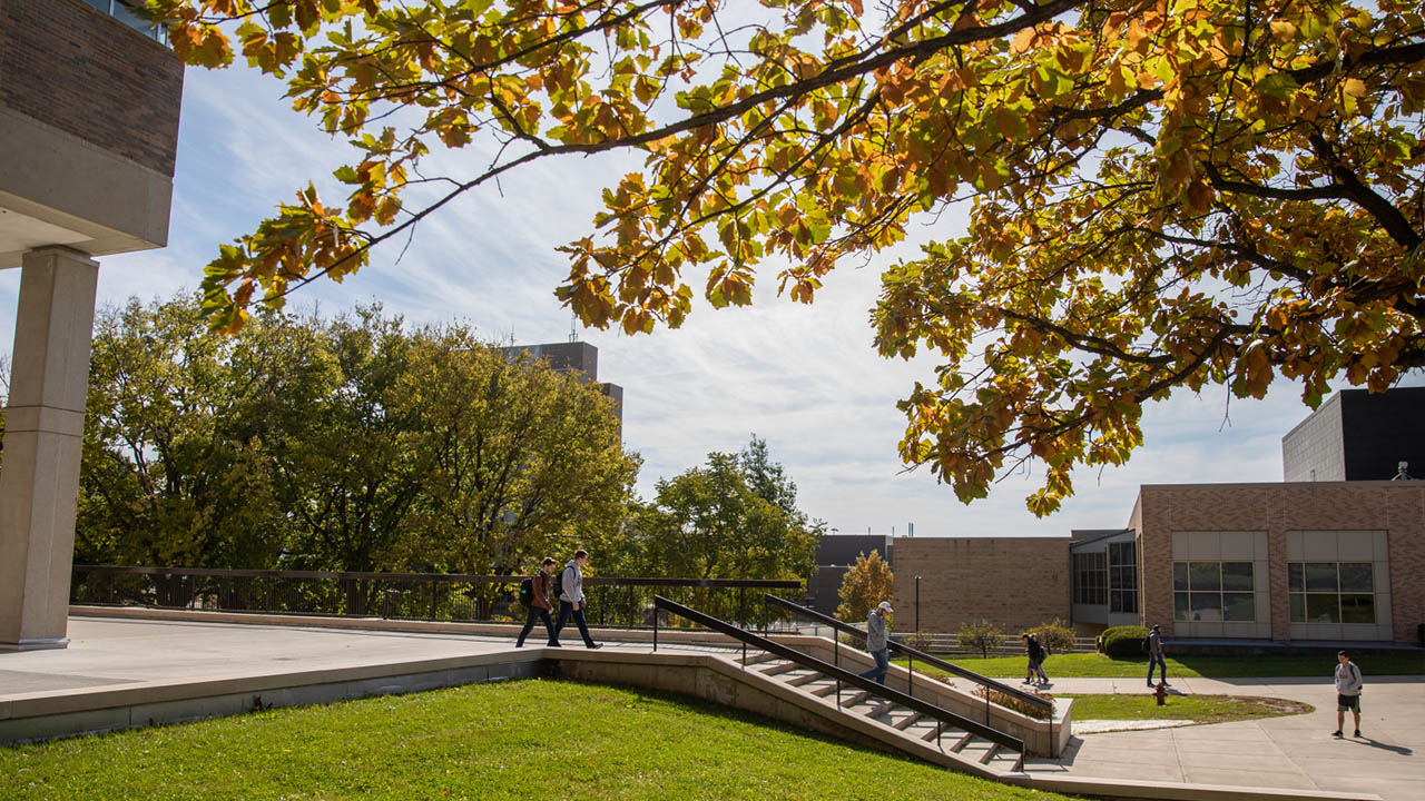 Fall campus