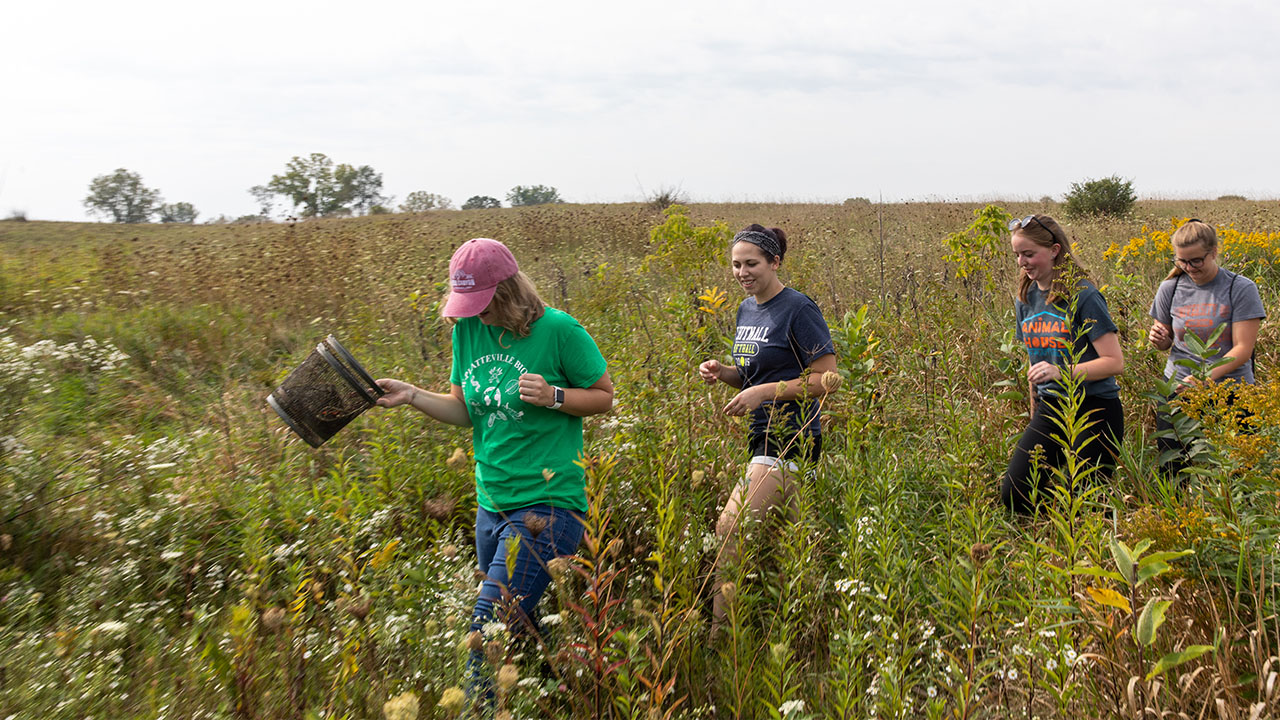 Students doing field research