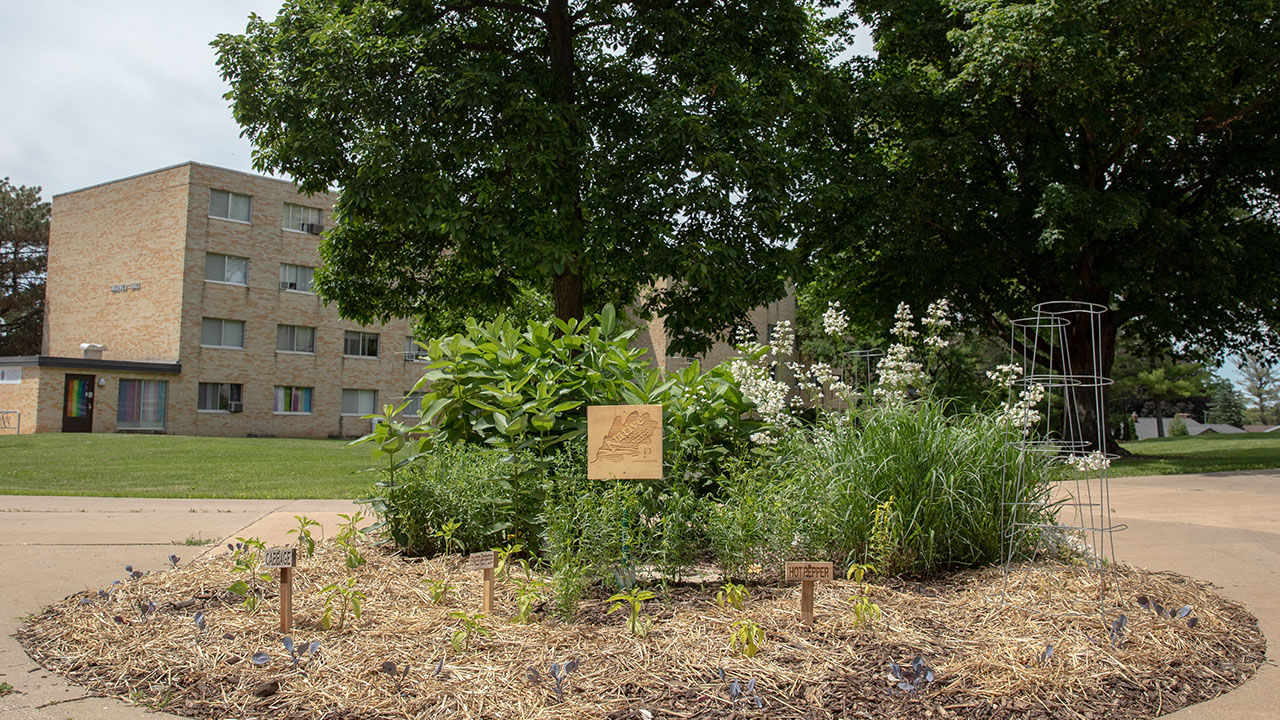 Native Driftless Garden