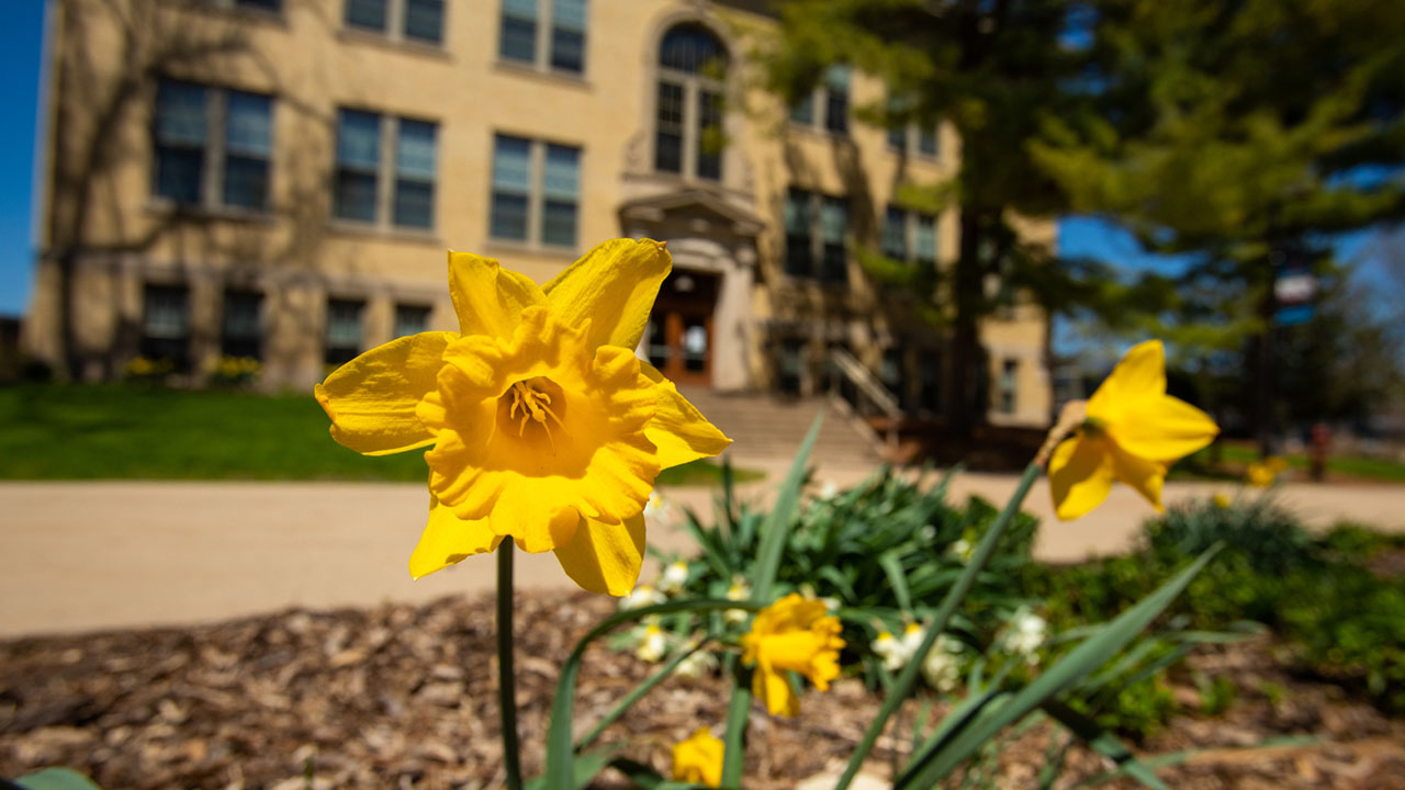 spring campus