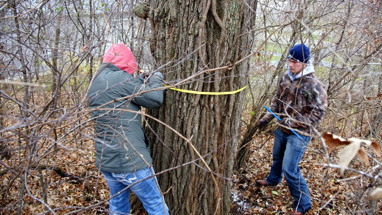 Driftless Oaks Research