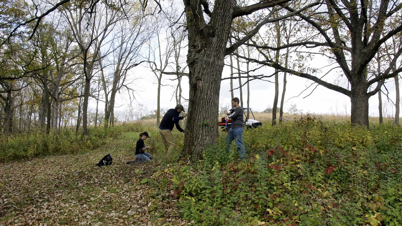 Driftless Oaks Research