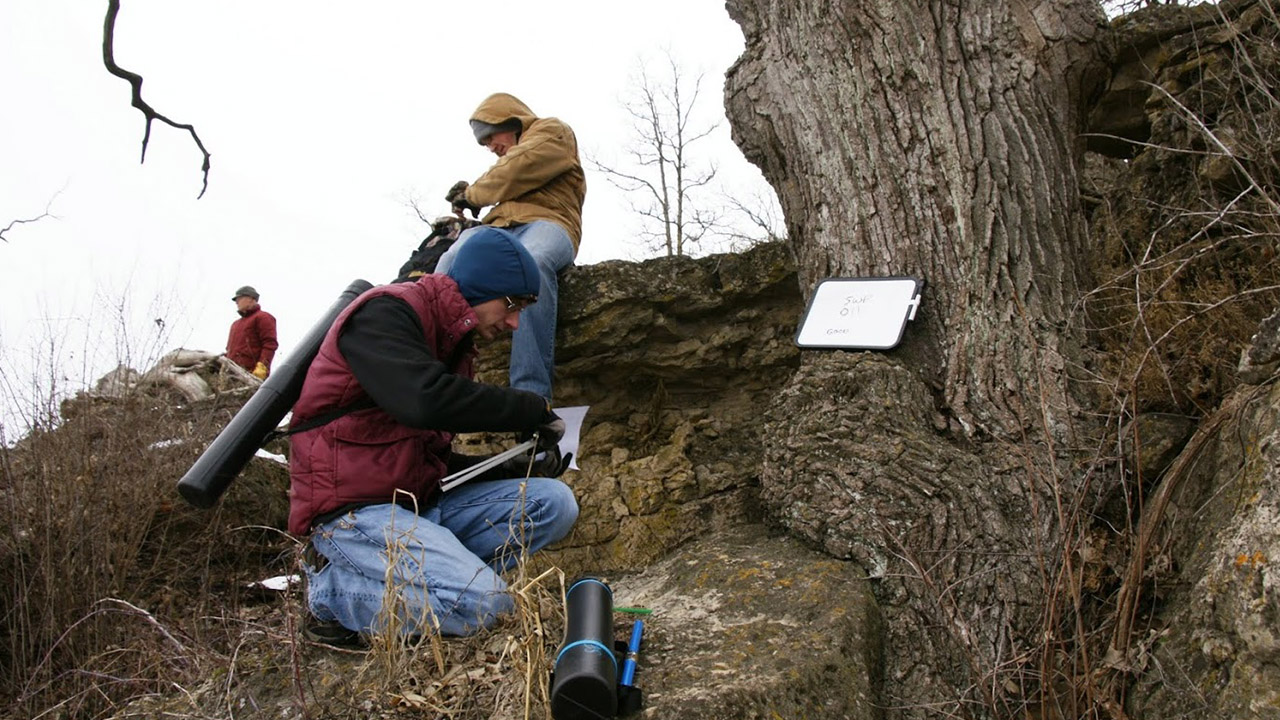 Driftless Oaks Research