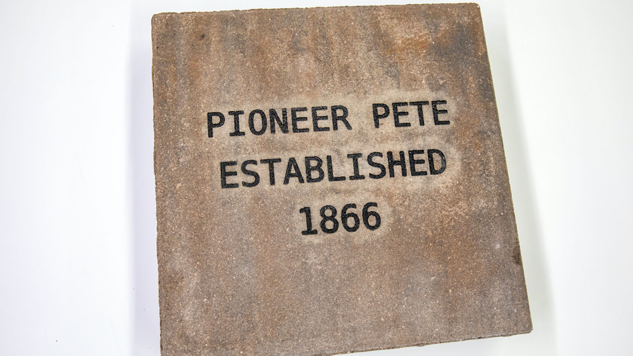 Sample Paver