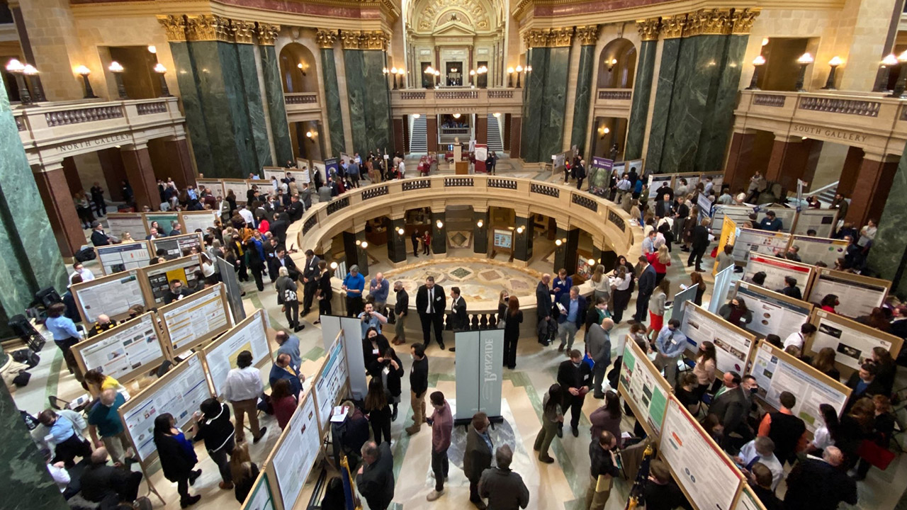 Research in the Rotunda