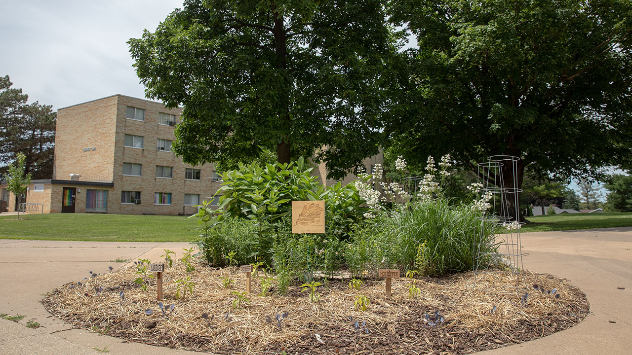 Native plant beds