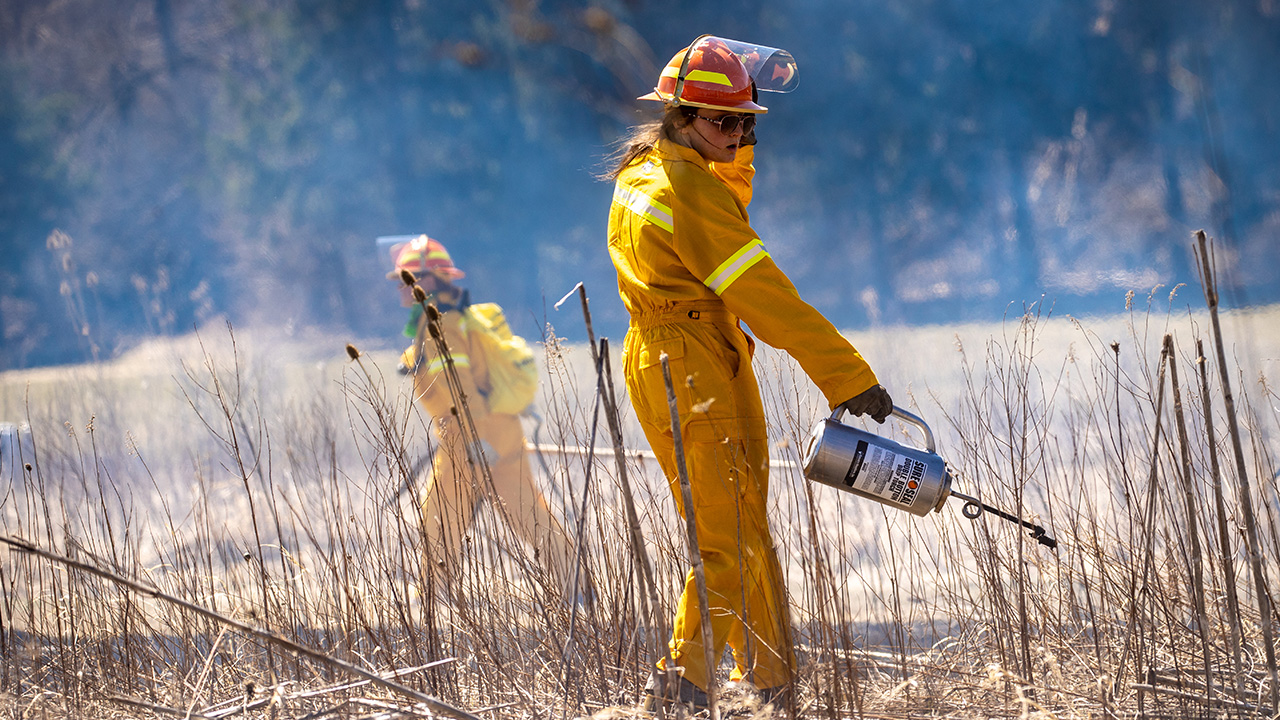 Prescribed burns on campus