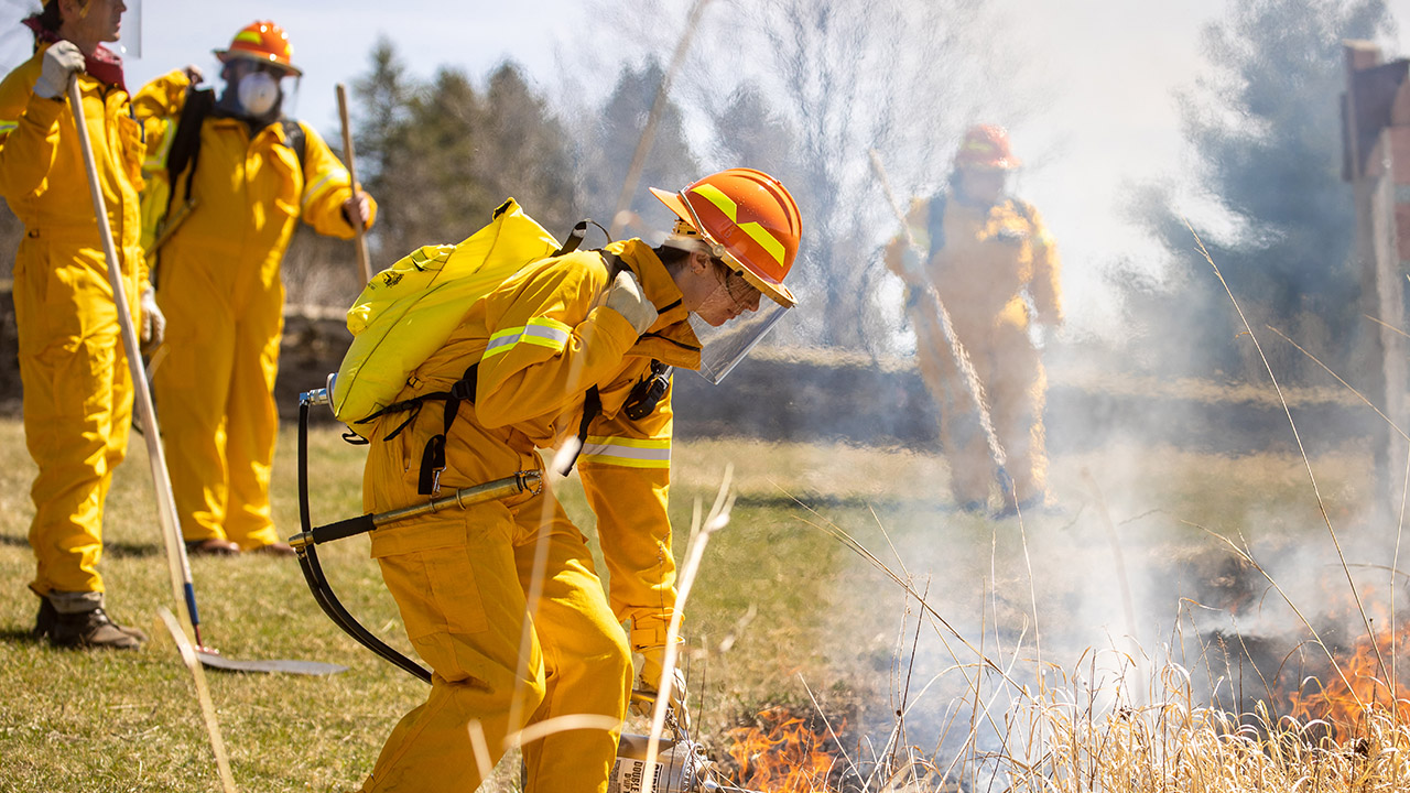 Prescribed burns on campus