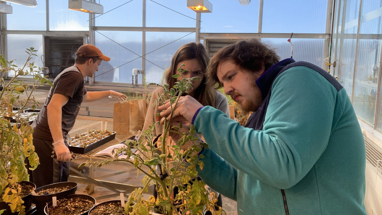 Garrett Larsen and Alyssa Headley in the greenhouse
