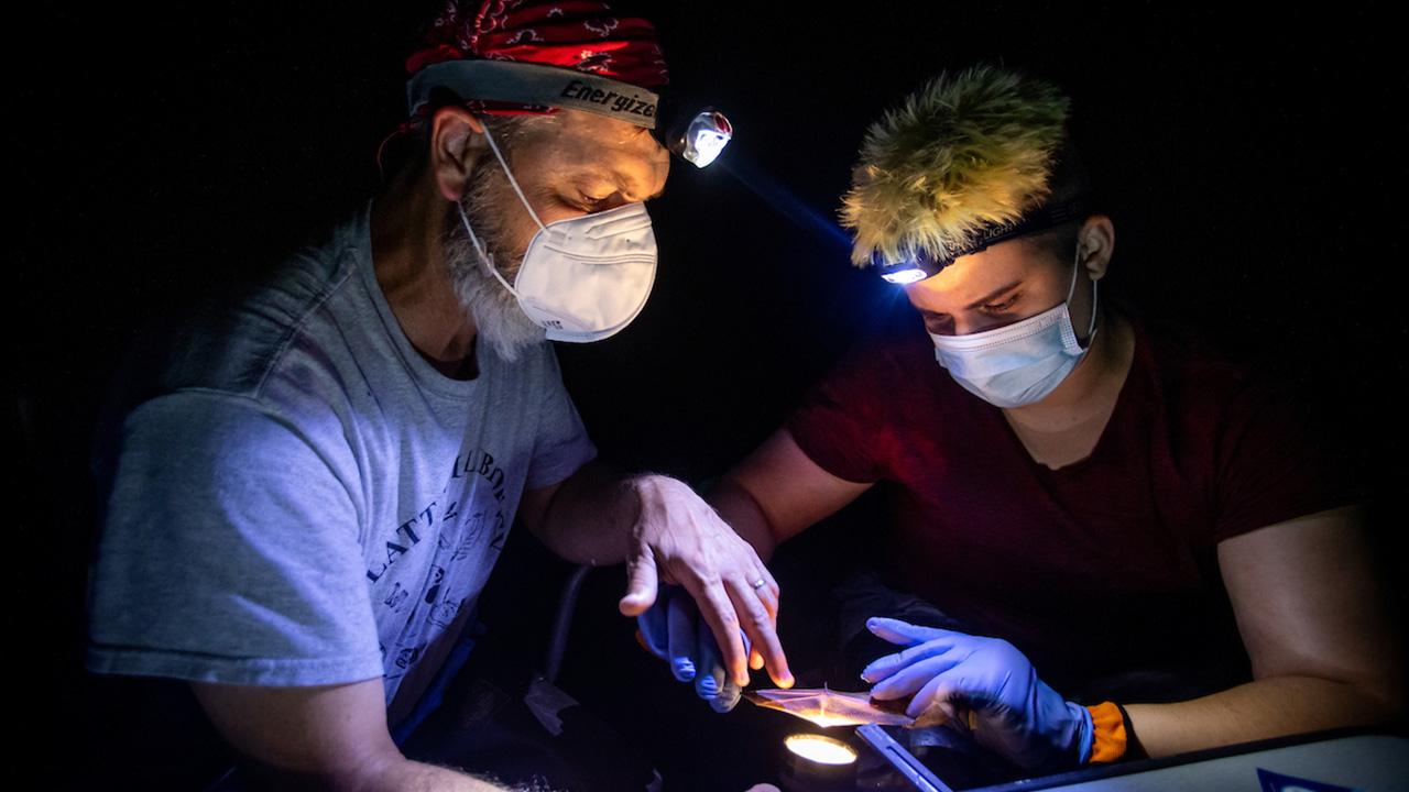 Kirsten Magedanz and Dr. Jeff Huebschman research the evening bat.