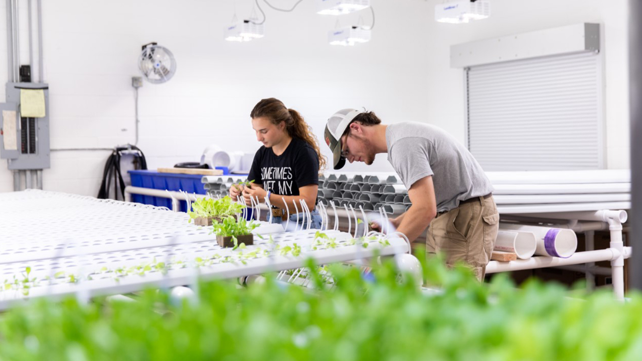 Hydroponics lab