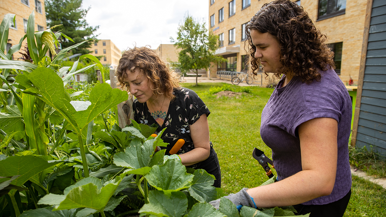 Senior Ellie Zimmermann works with Dr. Laura Dev in the Edible Garden.