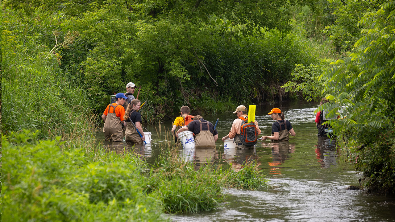 The team goes chest deep as part of the research process to find the fish.