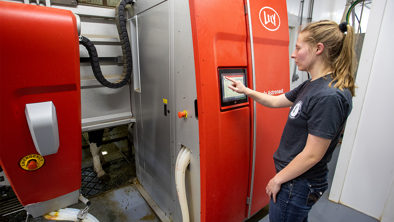 Student using the robotic milker at Pioneer Farm.