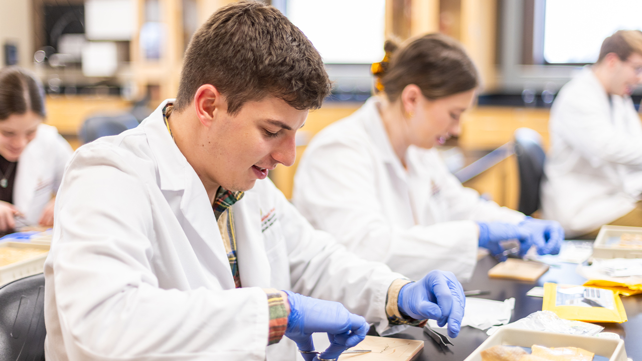 PA student Quade Wiegel in Suturing Lab.