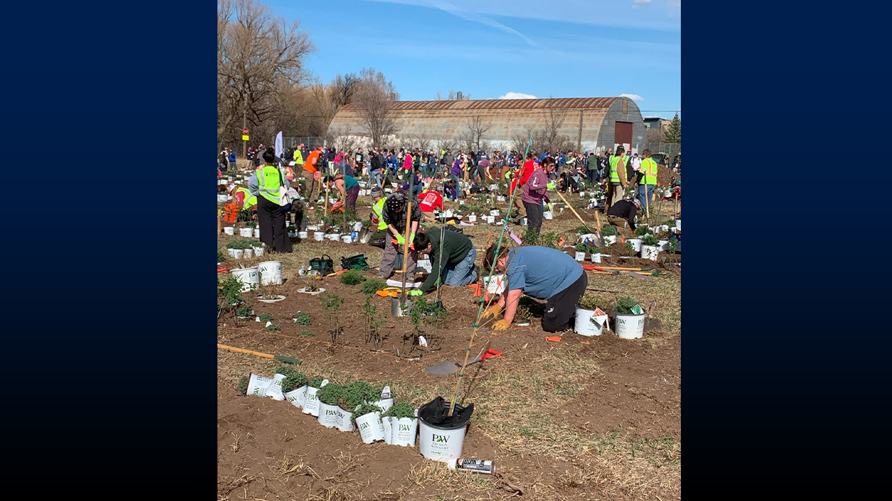 Students getting hands-on at the Landscape Installation Event, transforming spaces with creativity and teamwork.