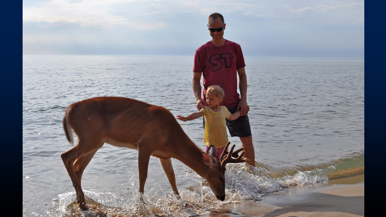 An unexpected visitor on Lake Michigan.