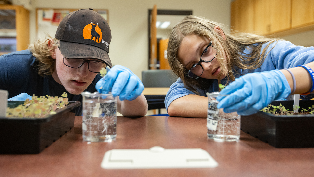 Students conducted genetic analyses while learning about legume-rhizobia symbiosis.