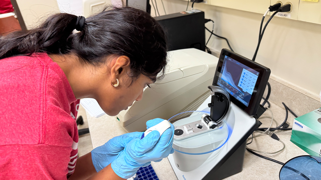 A student participant checks the quality and quantity of DNA in the samples using a NanoDrop One UV-Vis Spectrophotometer.