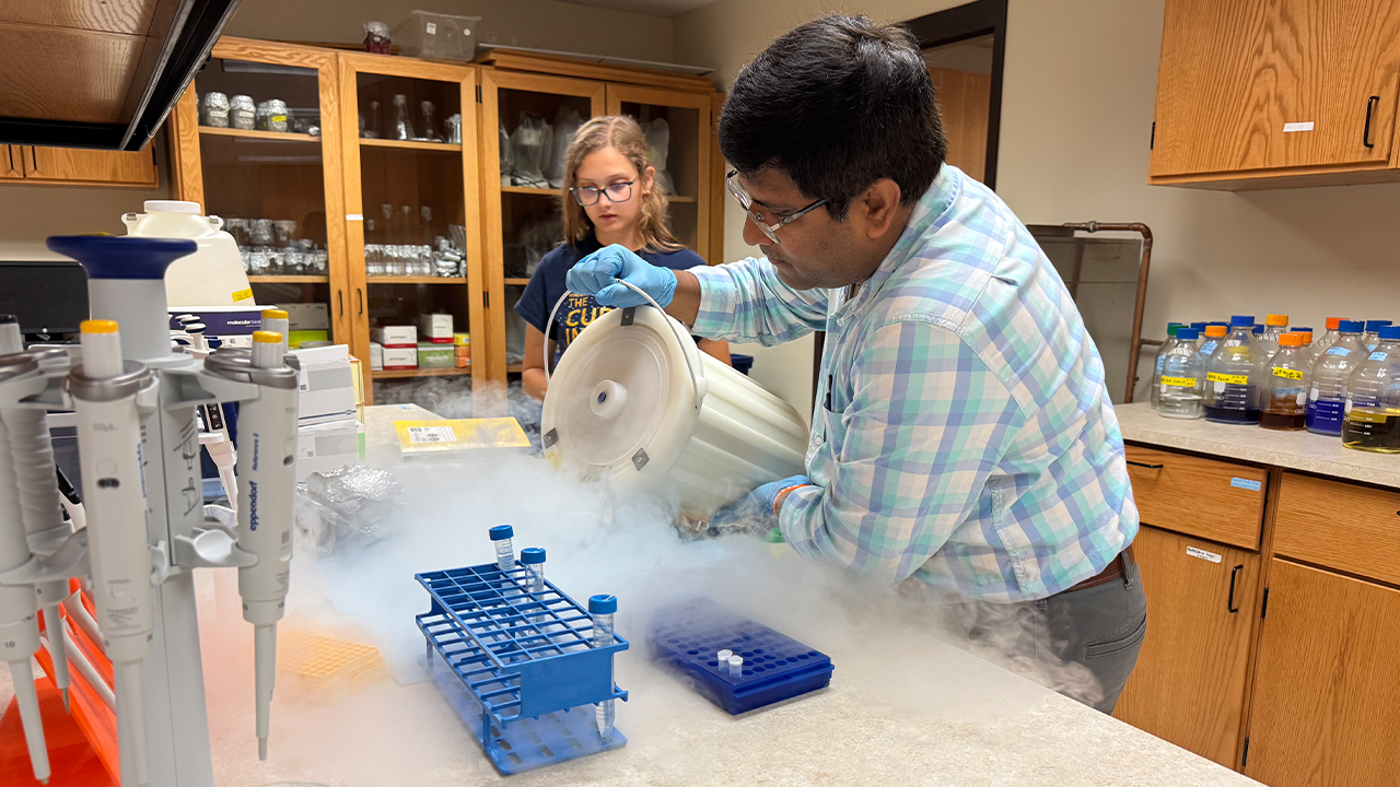 A student participant prepares to extract genomic DNA from plant tissues. Dr. Venkateshwaran pours liquid nitrogen into the mortar to flash-freeze the leaf tissues for DNA extraction.