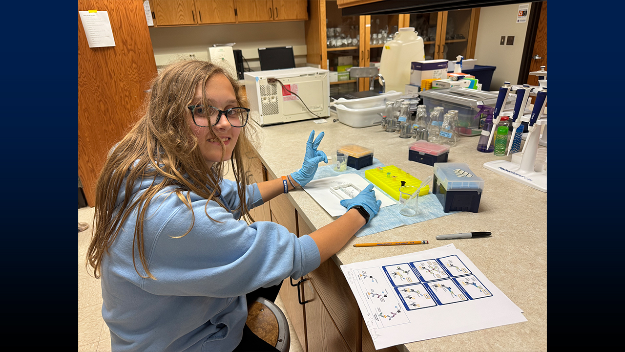 A student participant conducts Enzyme-Linked Immunosorbent Assay (ELISA).
