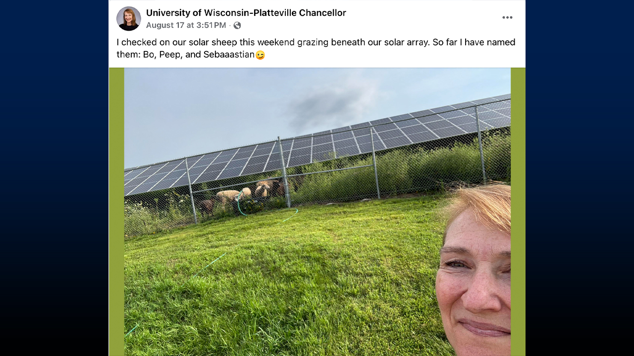 Chancellor Tammy Evetovich took a baa-rilliant tour of our solar-powered sheep squad.