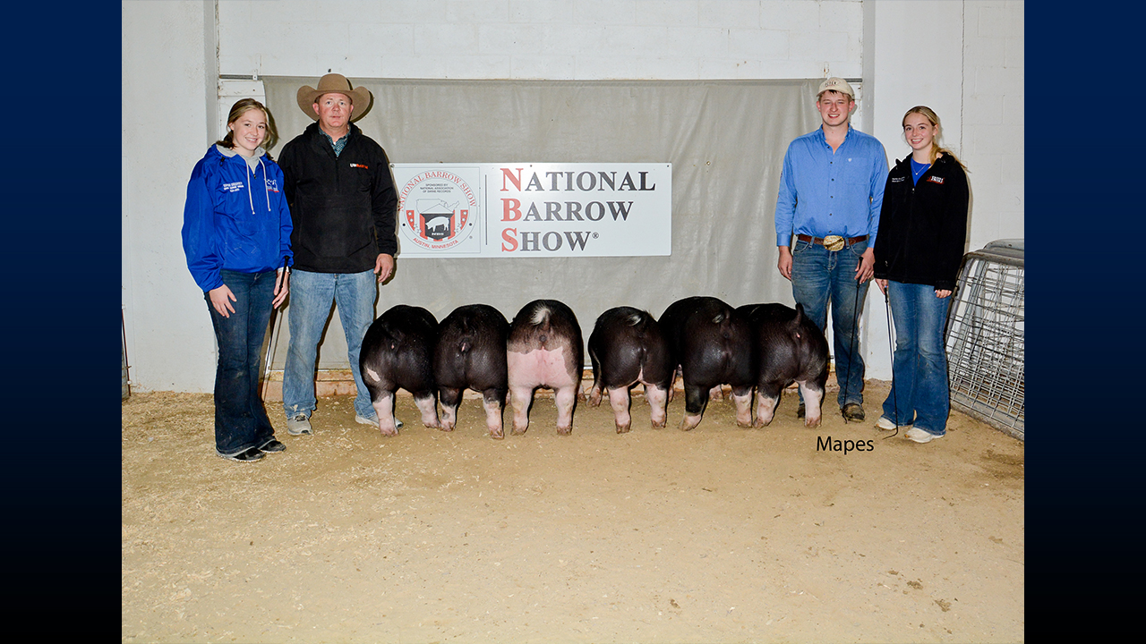Sophia Daugherty, Justin Daugherty, Brayden Peter, and Allison Daugherty with our Reserve Champion Carcass Truckload entry at the National Barrow Show.