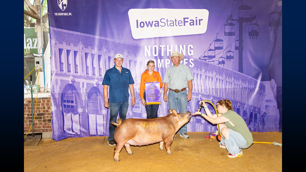 Brayden Peter, Sophia Daugherty, and Justin Daugherty with the Champion Tamworth gilt at the Iowa State Fair.