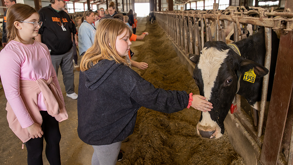 Families visit Pioneer Farm.