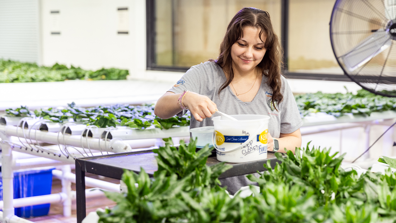 Kassandra Clint, student lab manager, monitors the hydroponics system daily to ensure proper pH and nutrient levels.